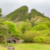 Image of 
